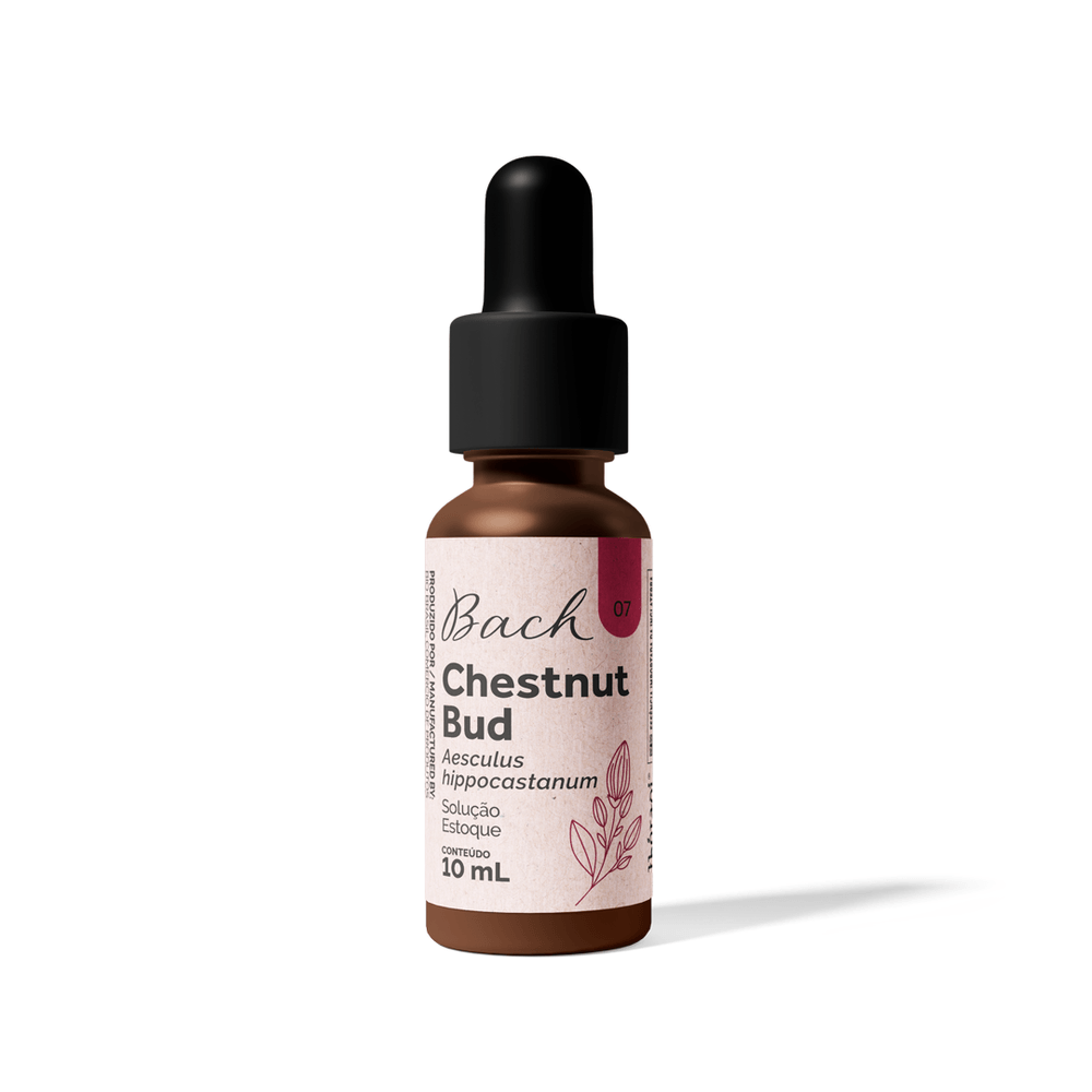 Solução Estoque Chestnut Bud 10 mL - floraltherapi
